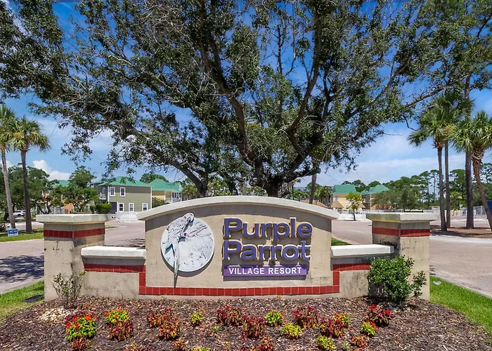 Purple Parrot 12ad By Pkrm * Pensacola